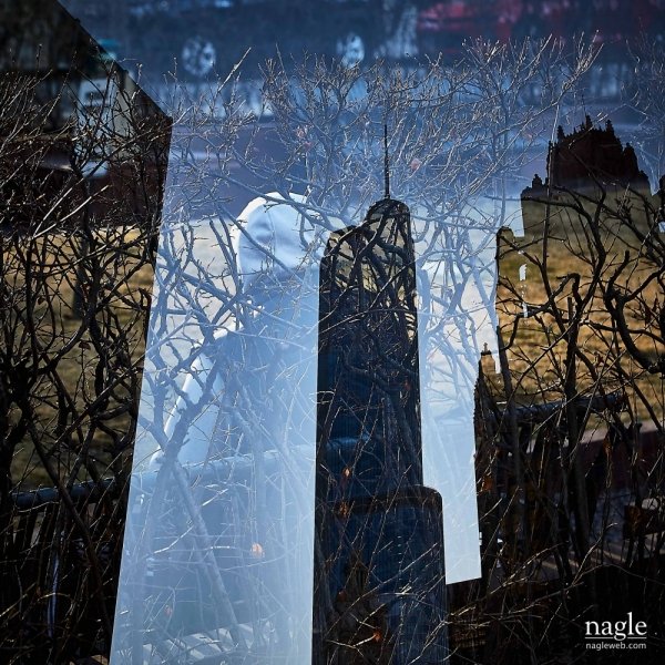 Nagle Photography,Chicago, Canon,Old Gloria, music,chicago,steve,delissi