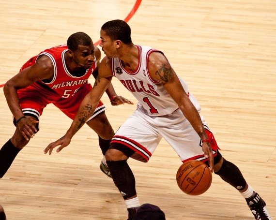 bulls_5313__large