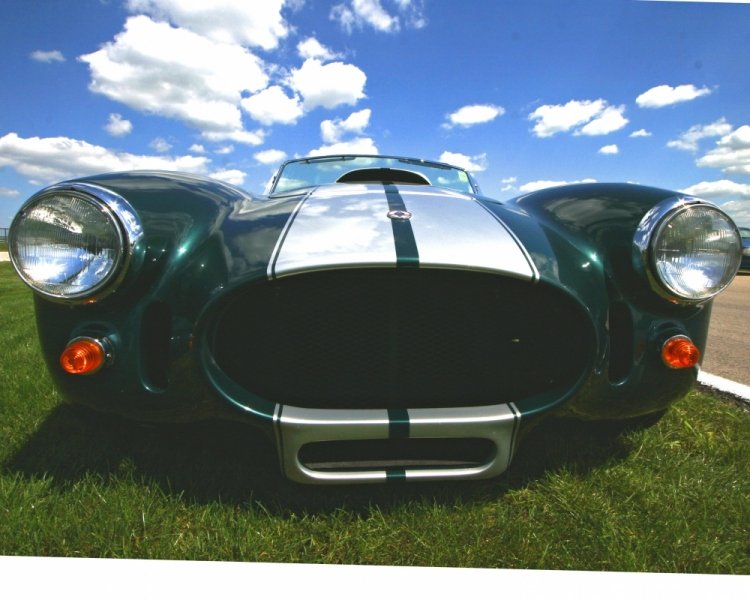 cobra