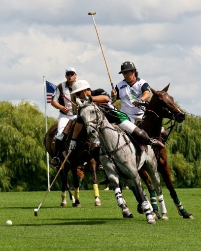 polo_5698__large